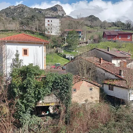 Cabrales Sol *